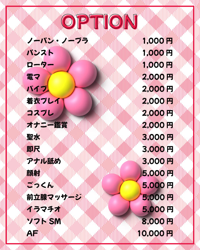 オプション料金表